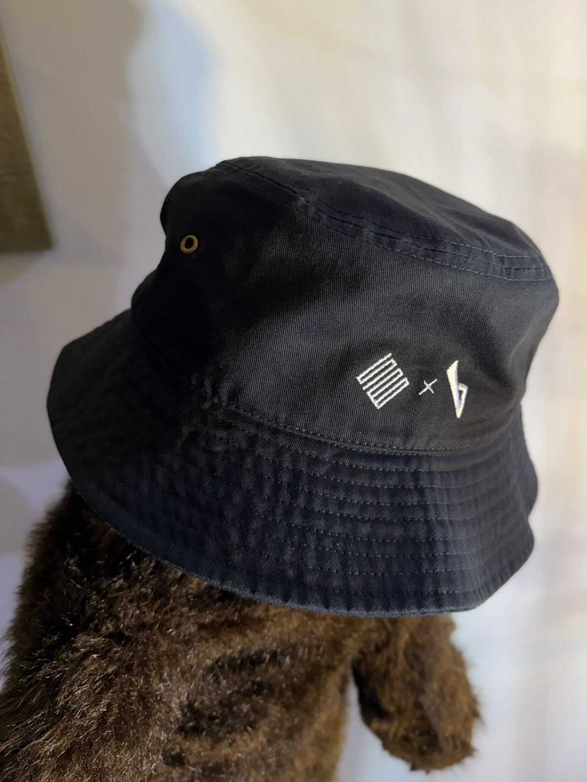 TSBxBBS Dobule Logo Hat