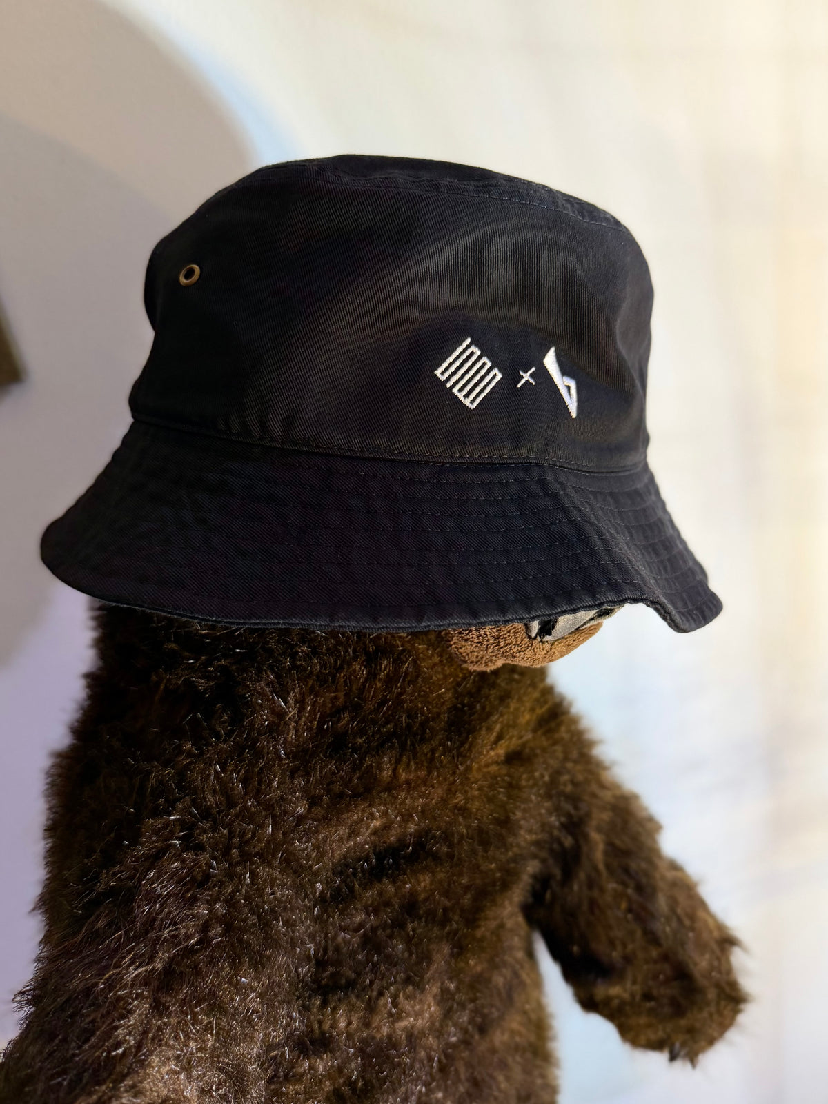 TSBxBBS Dobule Logo Hat
