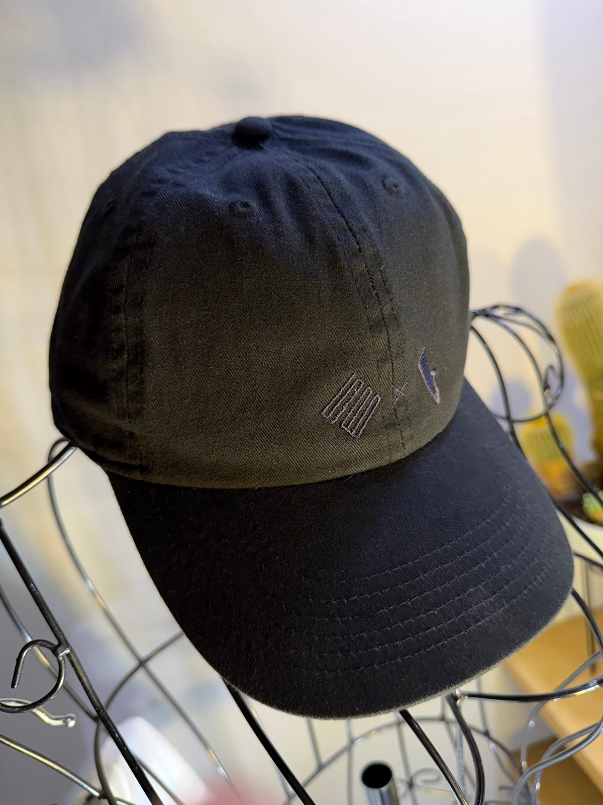 TSBxBBS Dobule Logo Cap