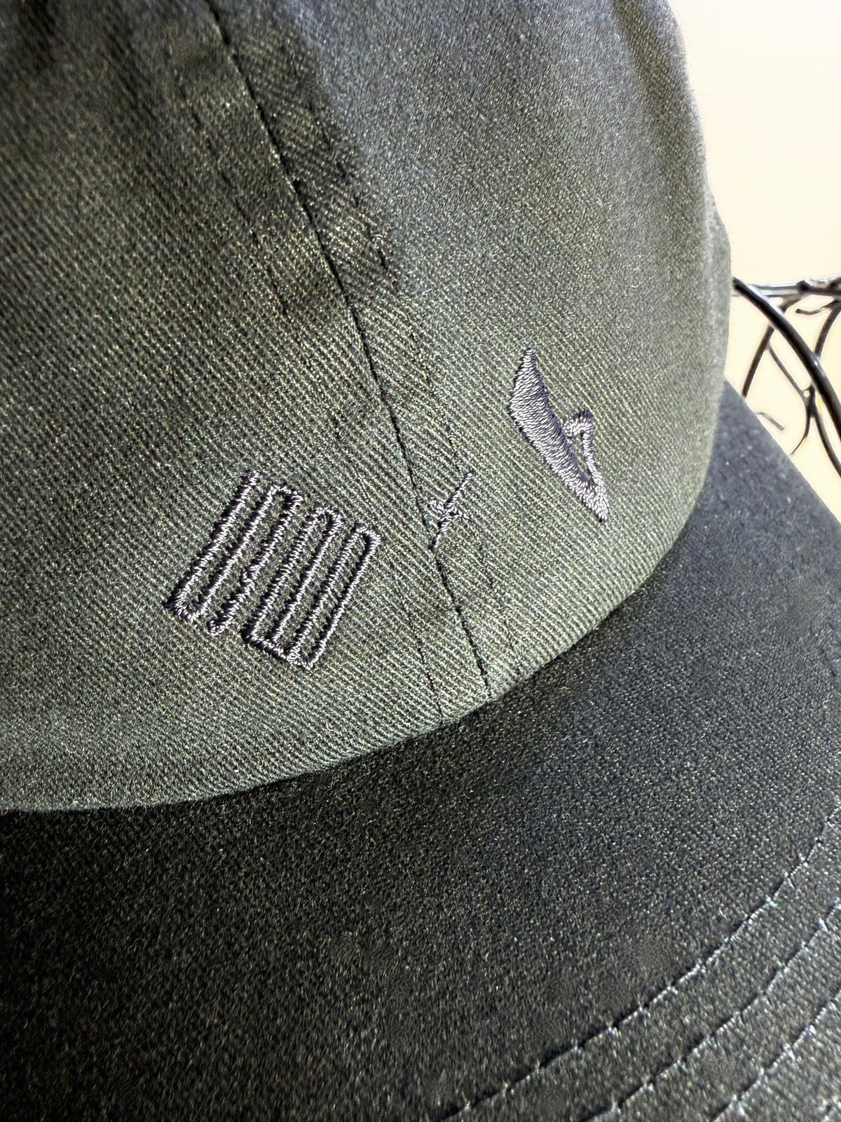 TSBxBBS Dobule Logo Cap