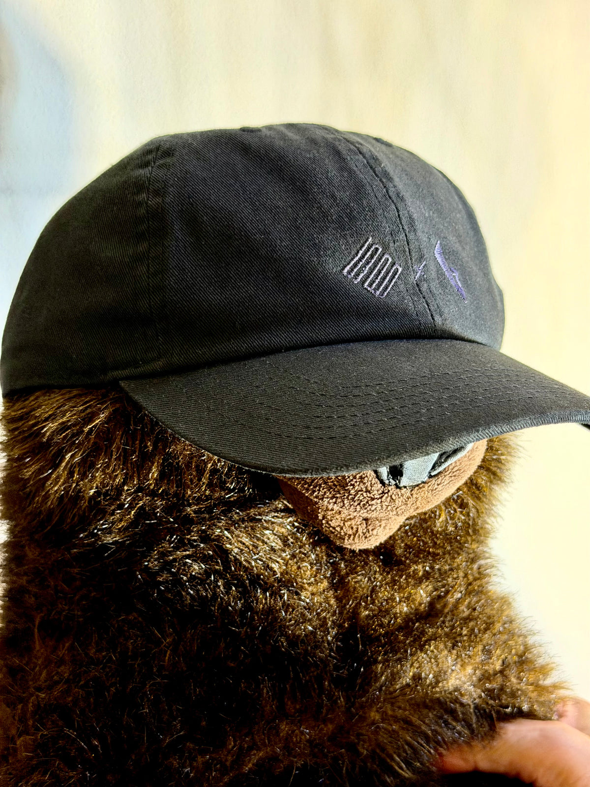 TSBxBBS Dobule Logo Cap