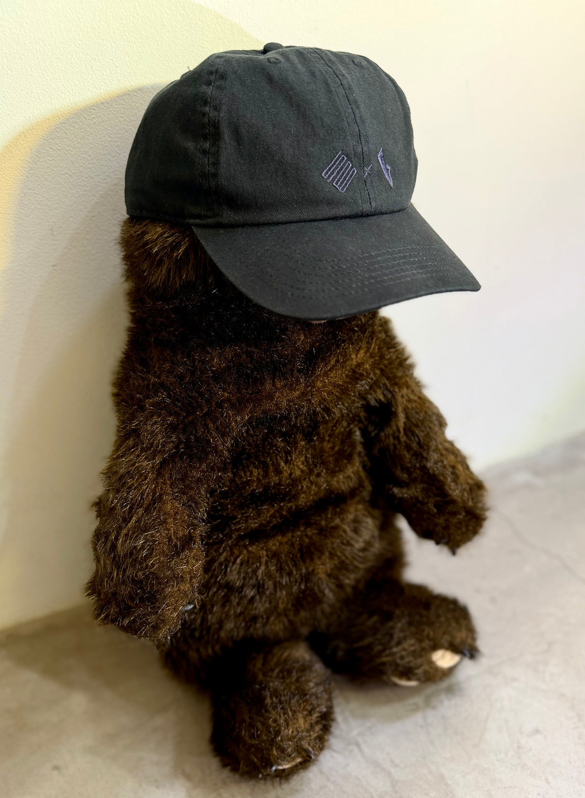 TSBxBBS Dobule Logo Cap