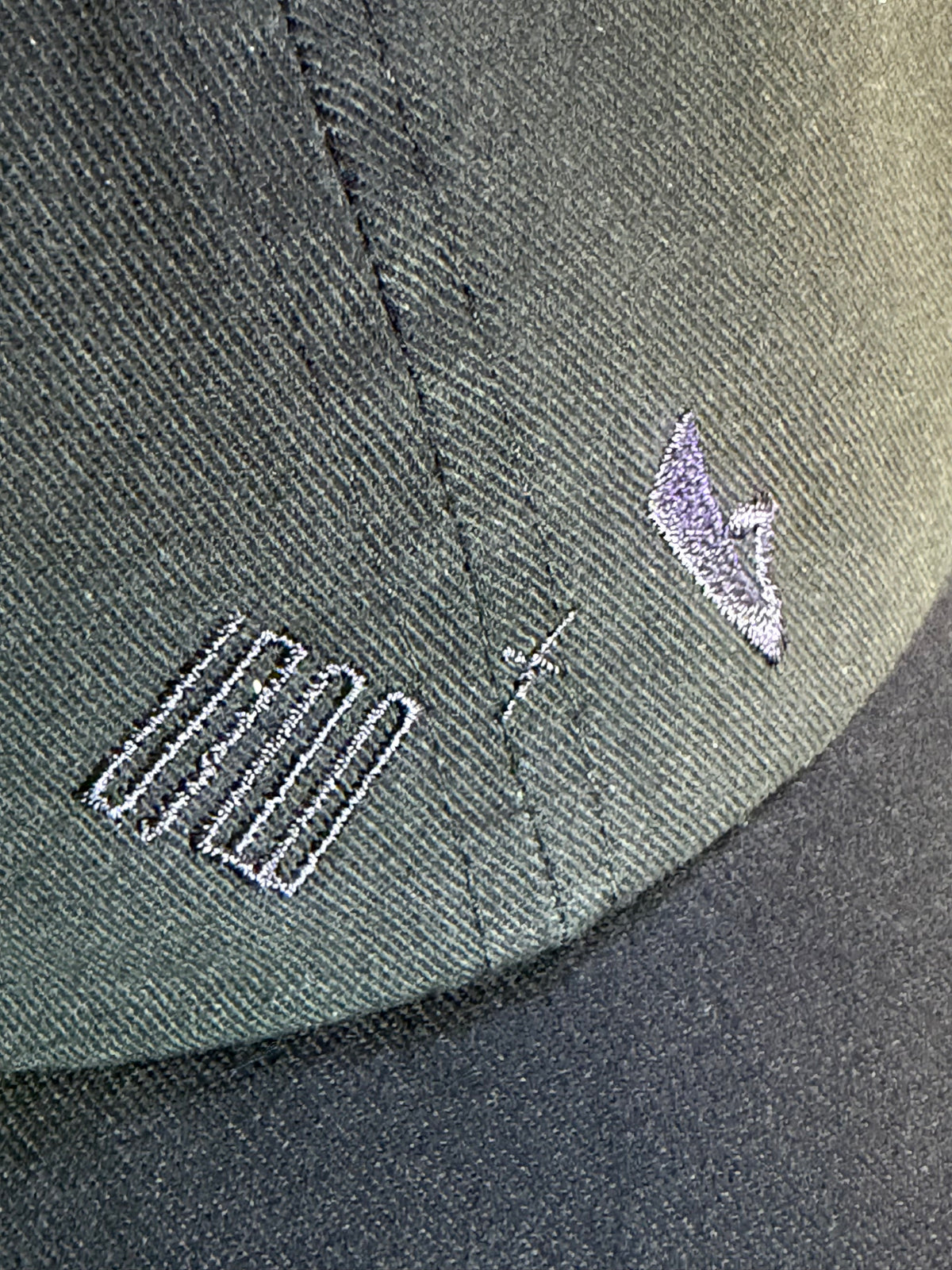 TSBxBBS Dobule Logo Cap
